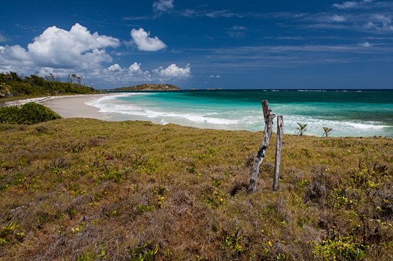 L’Anse Trabaud à Sainte-Anne