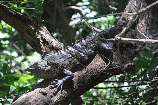 Parc national Barra Honda