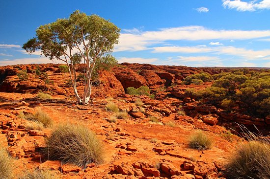 Kings Canyon et le Parc national de Watarrka