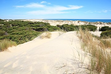 Parc national de Doñana