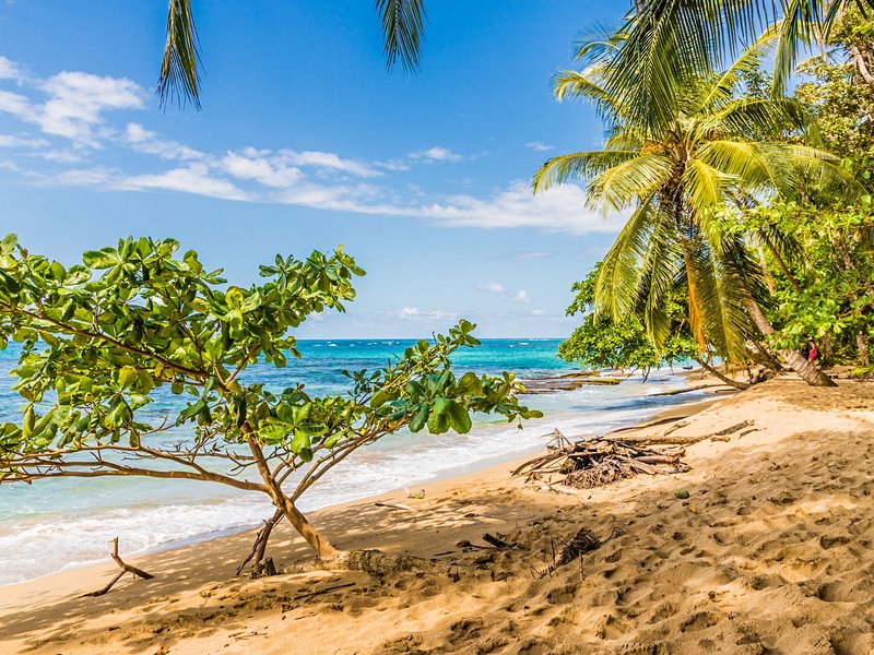 Les plages de Punta Uva
