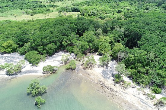 Punta Chame