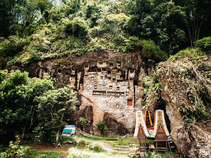 Sulawesi