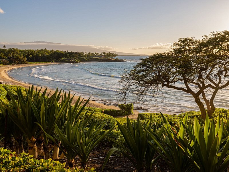 Plage de Kauna'oa