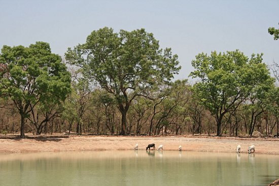 Kolda