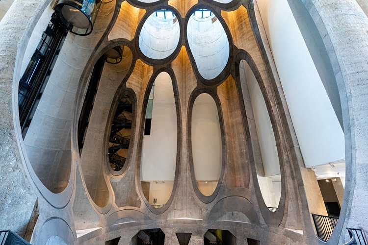 Le Cap - Afrique du Sud 3