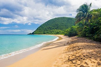Plage de Grande Anse près de Deshaies