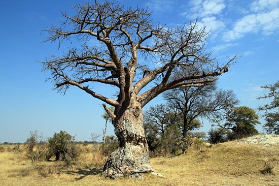 Parc national de Mudumu