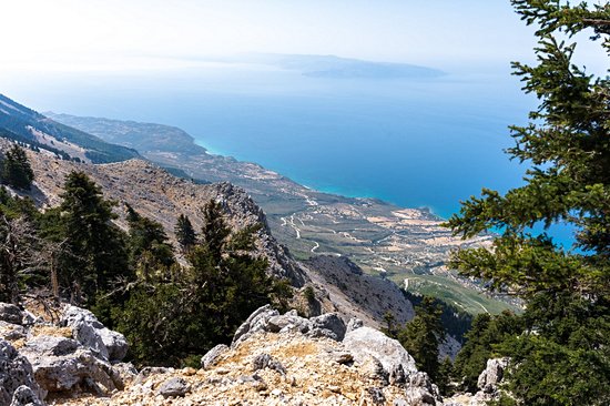 Le parc national du mont Ainos