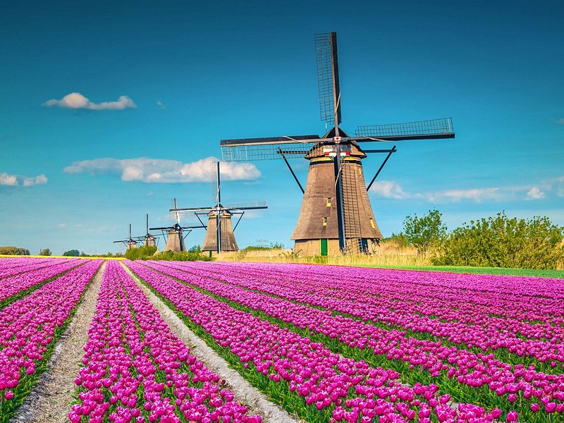 Kinderdijk
