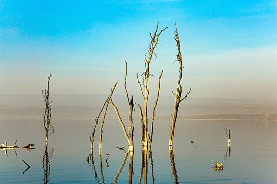 Les lacs de la Vallée du Rift