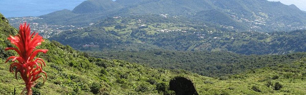 Le sud de la Basse Terre