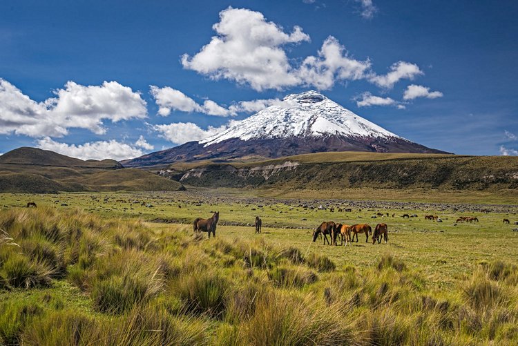 Cotopaxi - Equateur 3