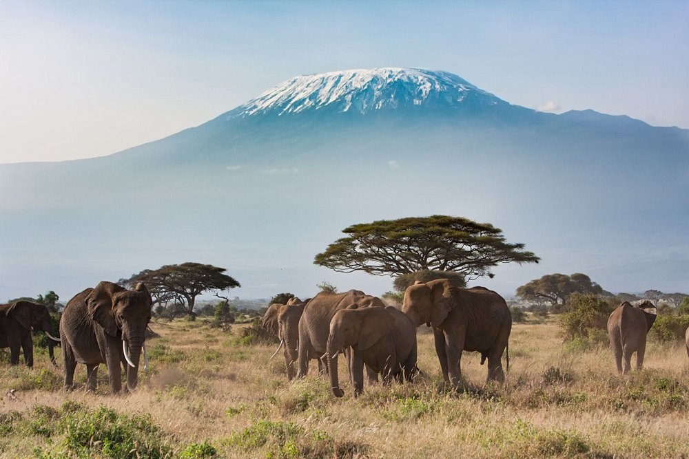 Tanzanie au mois de  octobre