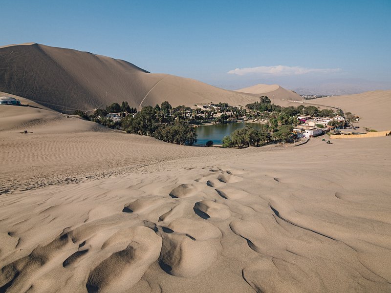 Oasis de Huacachina