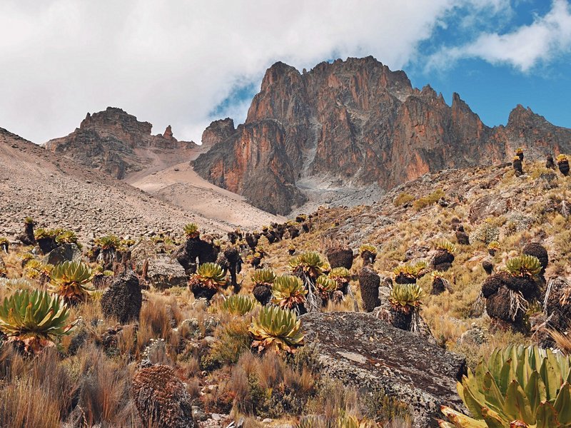 Parc national du mont Kenya