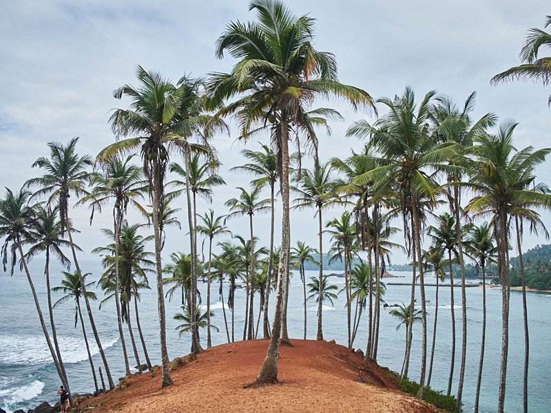 Mirissa