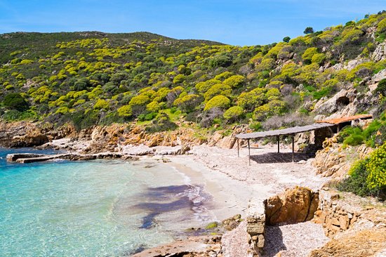 Parc de l'Asinara