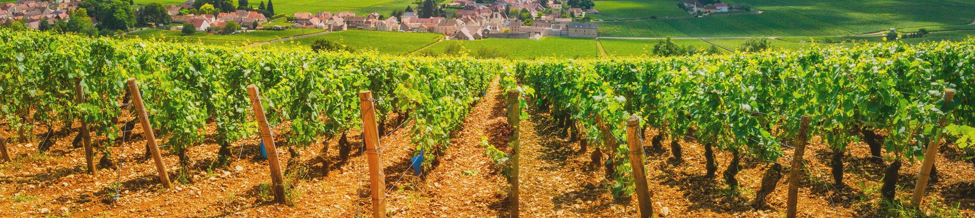 Bourgogne