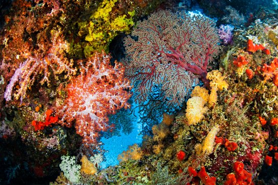Îles Similan