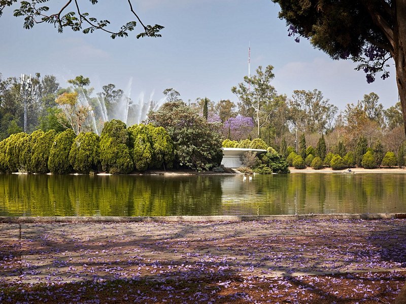 Bosque de Chapultepec