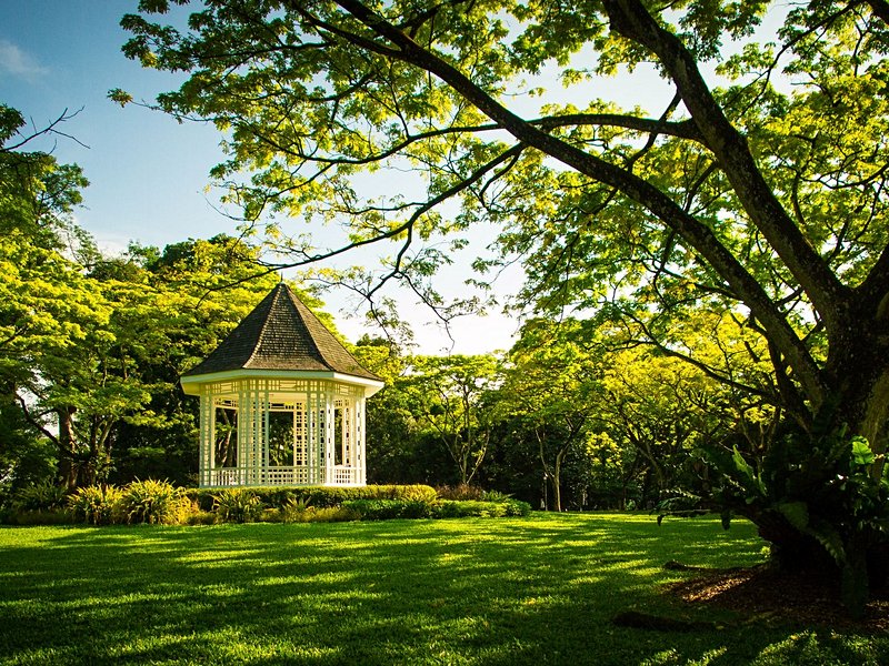 Jardin botanique de Singapour