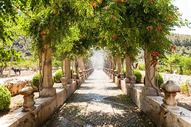 Les jardins d’Alfabia 2