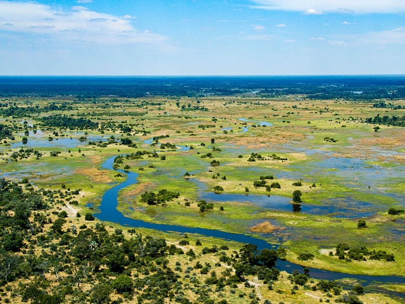Delta de l'Okavango
