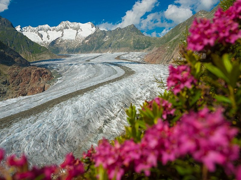 Le glacier d'Aletsch
