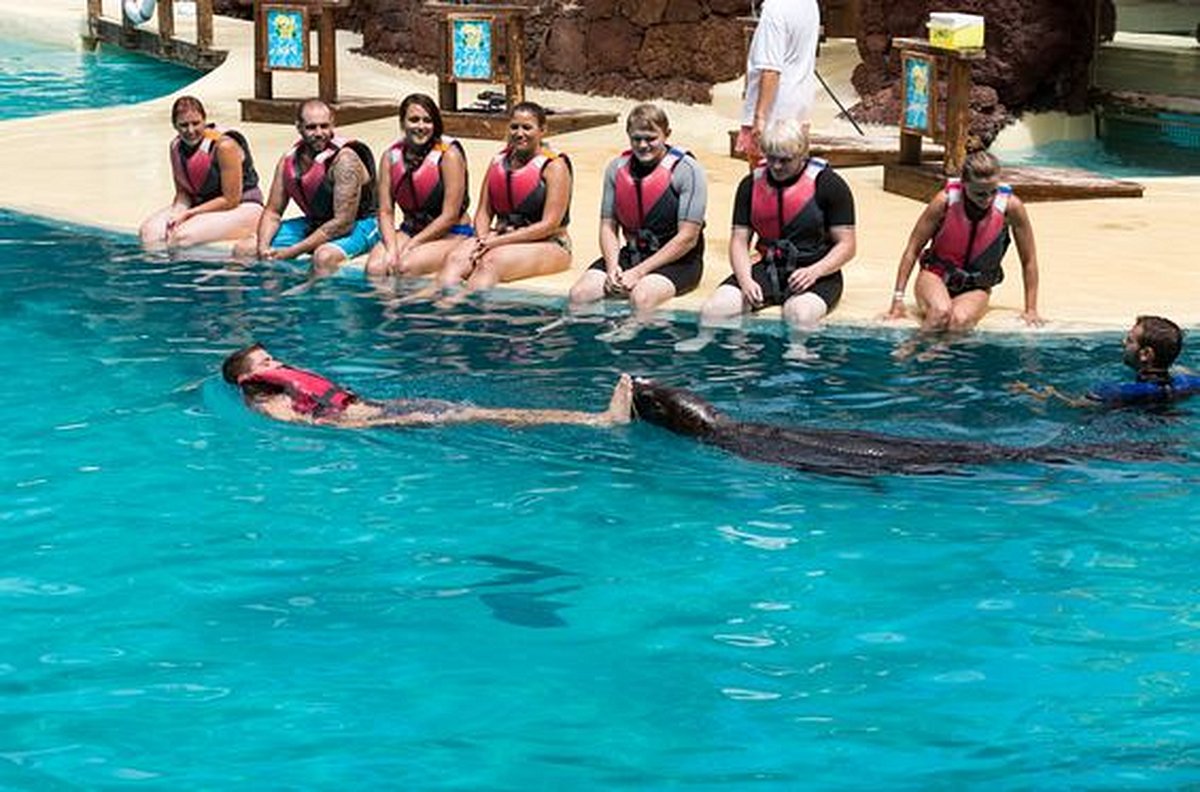 Se détendre dans un parc aquatique