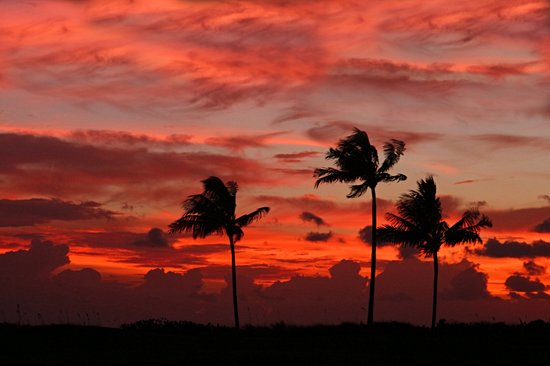 Captiva Island