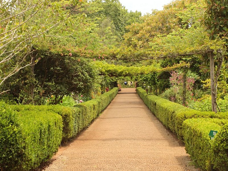 Jardins de Palheiro