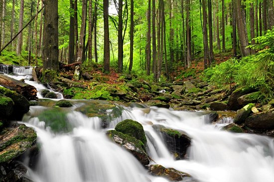 Parc national de Sumava
