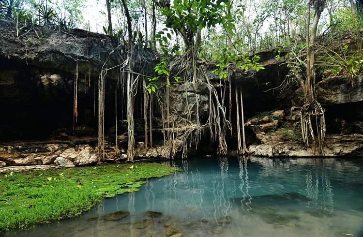 Cenotes X-batun & Dzombakal, San Antonio de Mulix