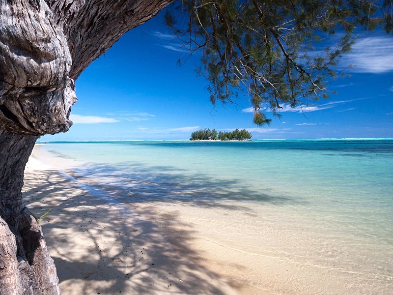 Moorea