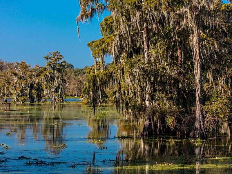 Le pays cajun
