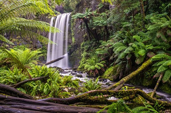 Parc national Great Otway