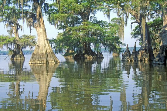 Le pays cajun