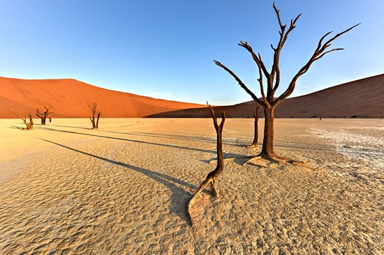 Dead Vlei