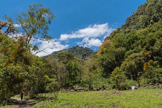 Parc national du Volcan Baru