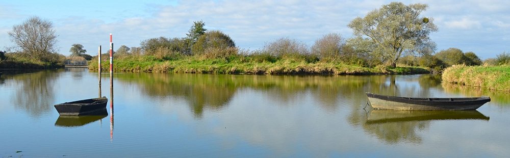 Le lac de Grand-Lieu