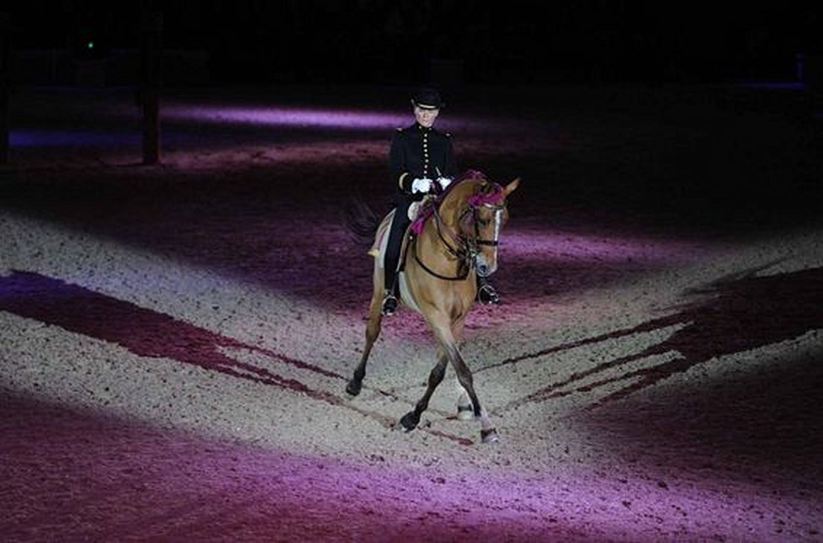 Voir un spectacle équestre à Saumur