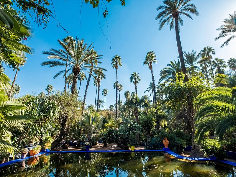 Le jardin Majorelle