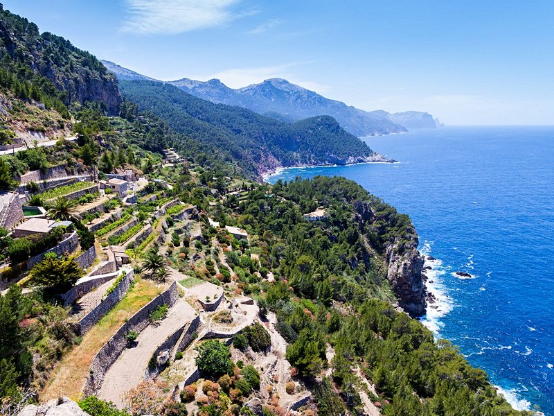 Le vignoble de Banyalbufar