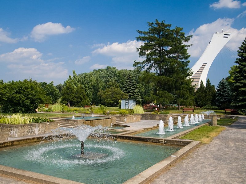 Le Jardin botanique