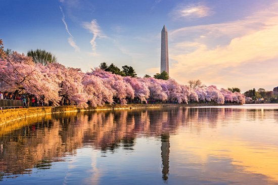 Washington