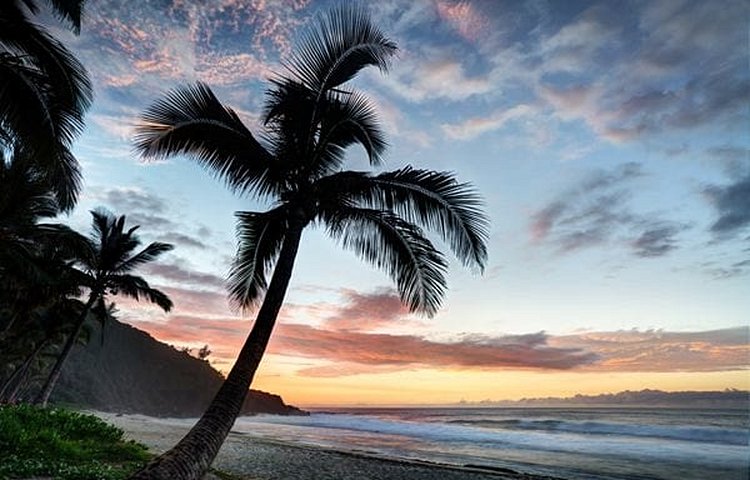Le Grand Sud