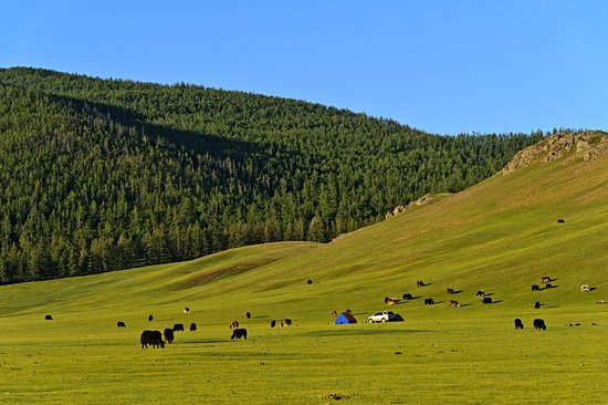 Vallée de l'Orkhon