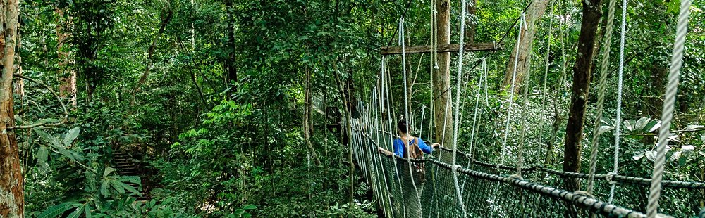 Le parc national de Taman Negara
