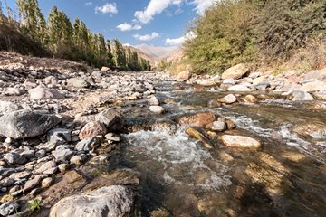 Alamut